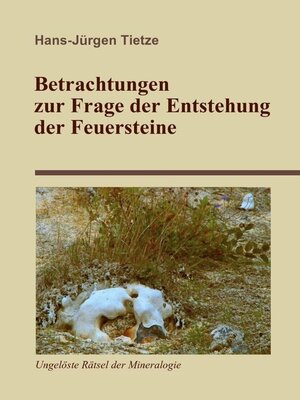 cover image of Betrachtungen zur Frage der Entstehung der Feuersteine